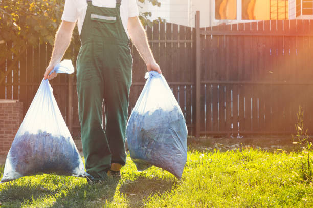 Best Electronics Removal Services  in Powell, AL